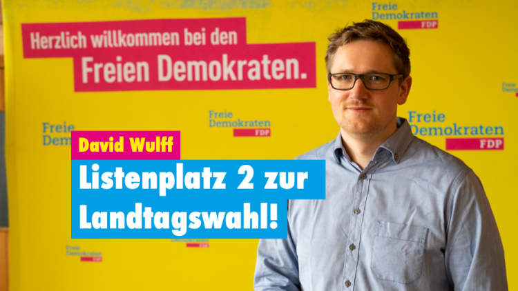 David Wulff vor einer mit Logos der freien Demokraten verzierten Wand